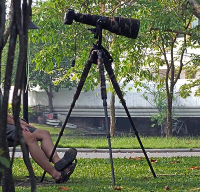 Suan Luang Rama 9 - Prawet - Bangkok - 15 February 2012 - 9:31 Suan Luang Rama 9 - Prawet - Bangkok - 15 February 2012 - 9:31